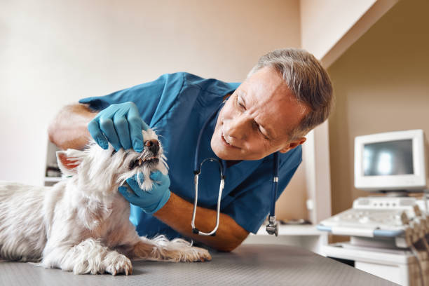 Best Dentist for Tooth Abscess  in Lac Du Flambeau, WI